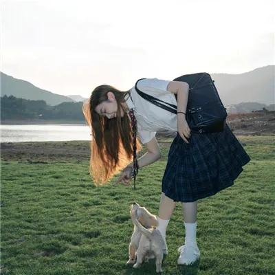 灵犬雪莉2：冒险再出发
